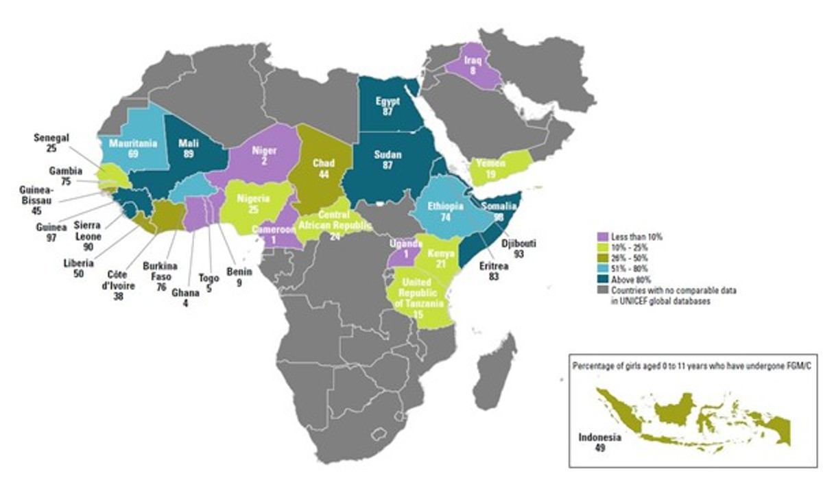 karta över främst Afrika med länder där könsstympning förekommer är markerade