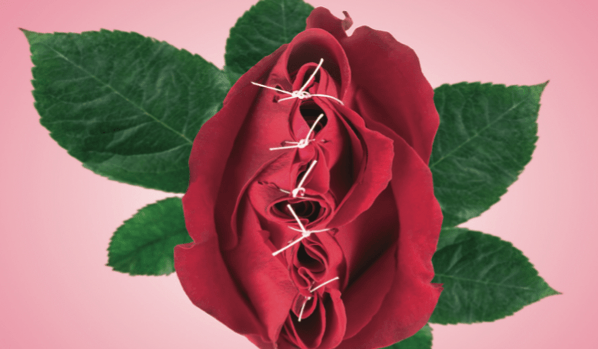 illustration röd ros som är ihopsydd med vit träd gröna blad, rosa bakgrund